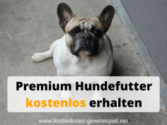 Hundefutter-kostenlos-erhalten.png