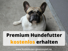 Hundefutter-kostenlos-erhalten.png